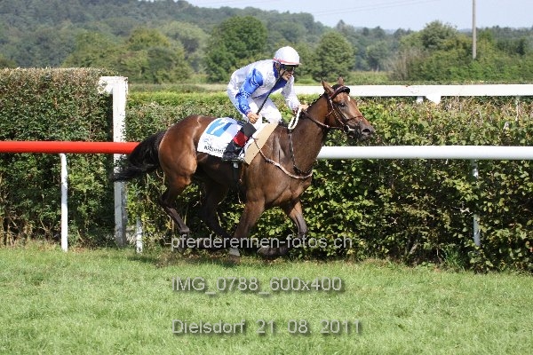 IMG 0788 600x400 prot