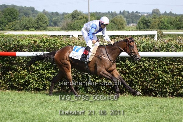 IMG 0789 600x400 prot