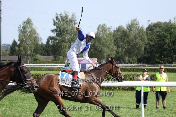 IMG 0794 600x400 prot