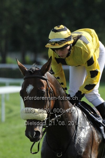IMG 0826 600x400 prot