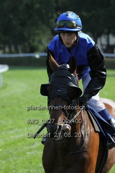 IMG 0827 600x400 prot