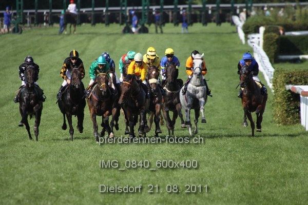 IMG 0840 600x400 prot