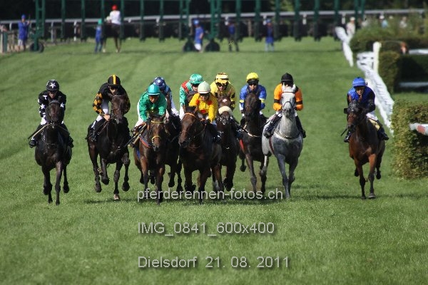 IMG 0841 600x400 prot