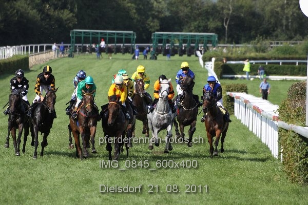 IMG 0845 600x400 prot