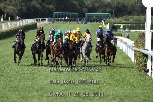 IMG 0846 600x400 prot