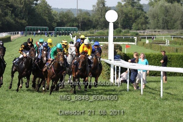 IMG 0848 600x400 prot