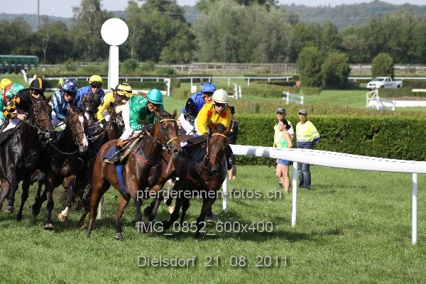 IMG 0852 600x400 prot