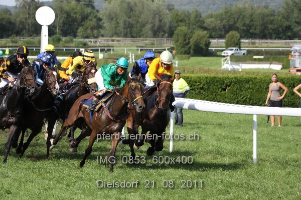 IMG 0853 600x400 prot