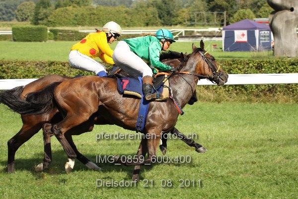 IMG 0859 600x400 prot