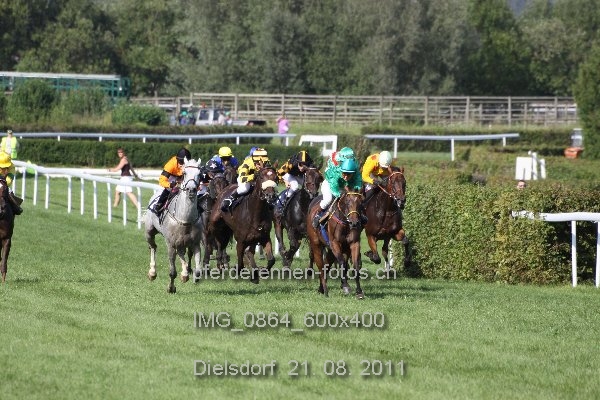IMG 0864 600x400 prot