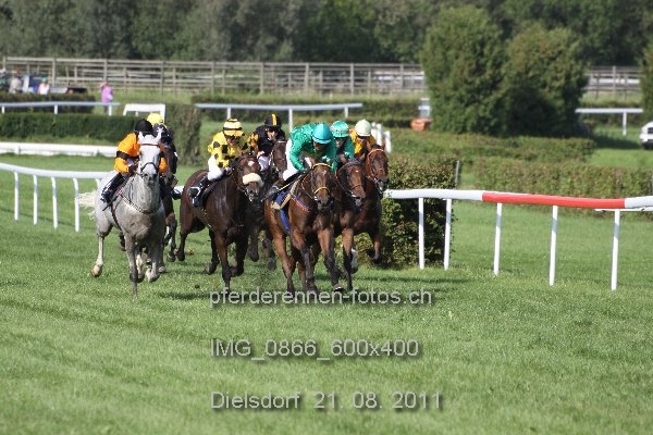 IMG 0866 600x400 prot
