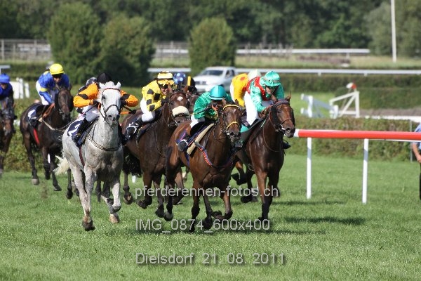 IMG 0874 600x400 prot