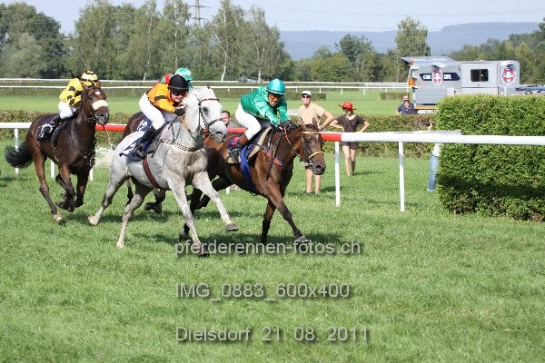 IMG 0883 600x400 prot
