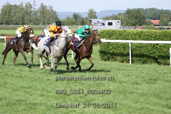 IMG 0884 600x400 prot