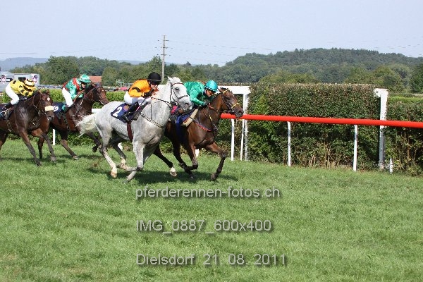IMG 0887 600x400 prot