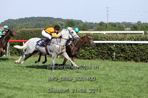 IMG 0889 600x400 prot