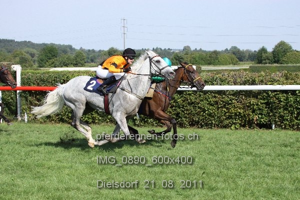 IMG 0890 600x400 prot