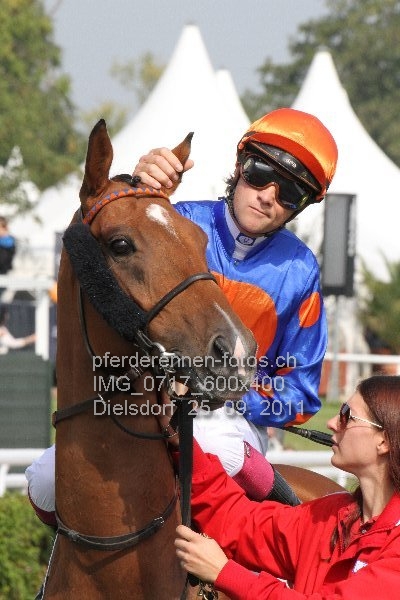 IMG 0717 600x400 prot