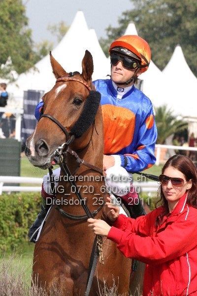 IMG 0720 600x400 prot