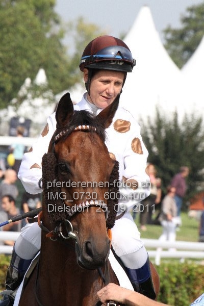IMG 0730 600x400 prot