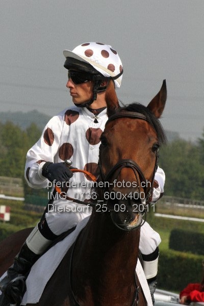 IMG 0733 600x400 prot