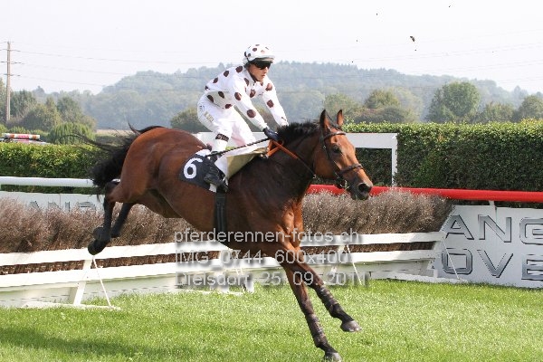 IMG 0744 600x400 prot