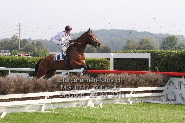 IMG 0747 600x400 prot
