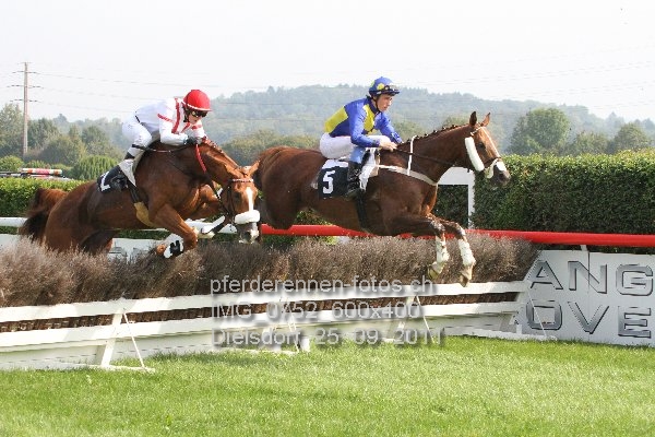 IMG 0752 600x400 prot