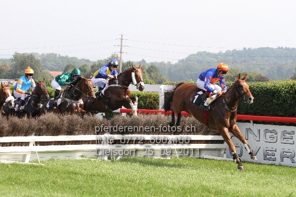 IMG 0772 600x400 prot