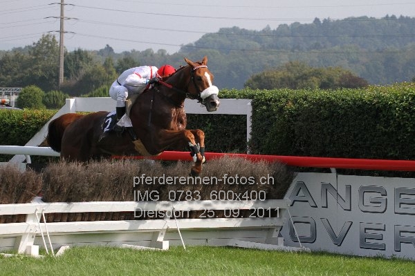 IMG 0783 600x400 prot