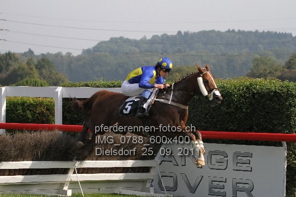 IMG 0788 600x400 prot