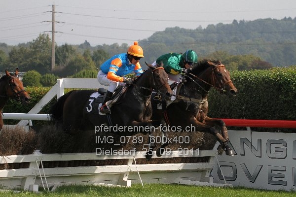 IMG 0789 600x400 prot