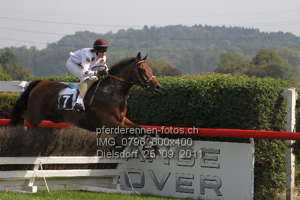 IMG 0796 600x400 prot