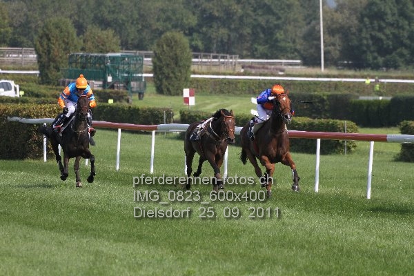 IMG 0823 600x400 prot