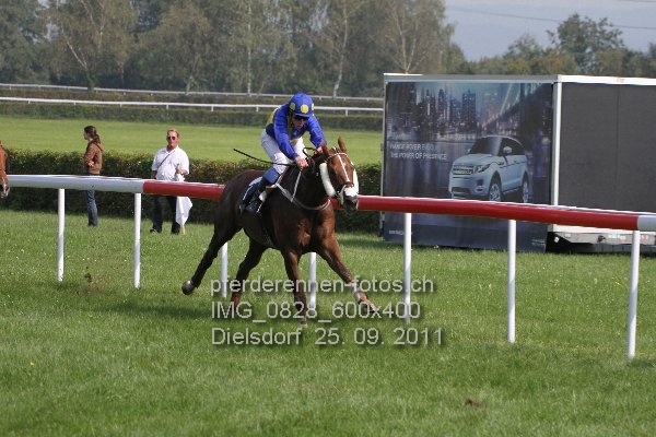 IMG 0828 600x400 prot