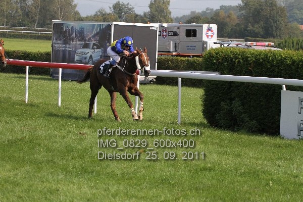 IMG 0829 600x400 prot