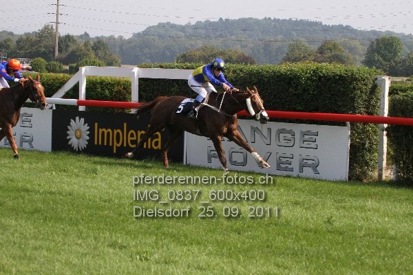 IMG 0837 600x400 prot