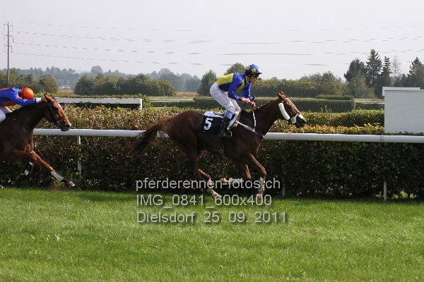 IMG 0841 600x400 prot