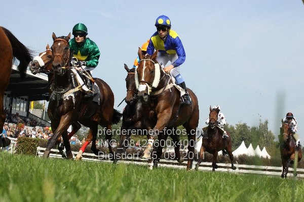 IMG 0842 600x400 prot