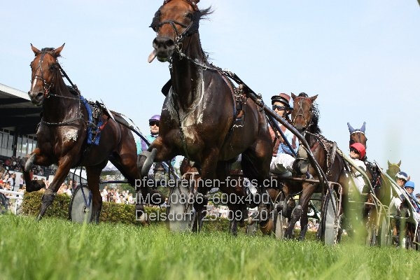 IMG 0886 600x400 prot