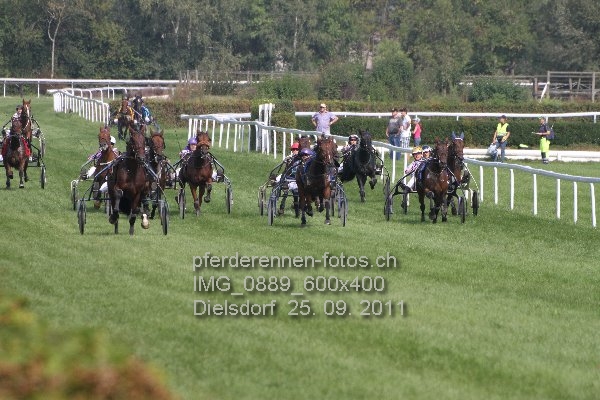 IMG 0889 600x400 prot