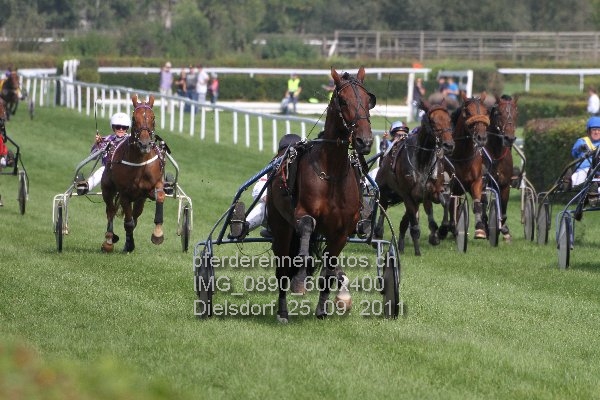 IMG 0890 600x400 prot