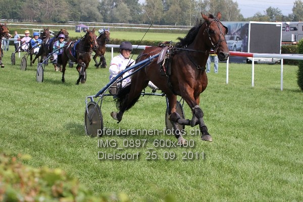 IMG 0897 600x400 prot