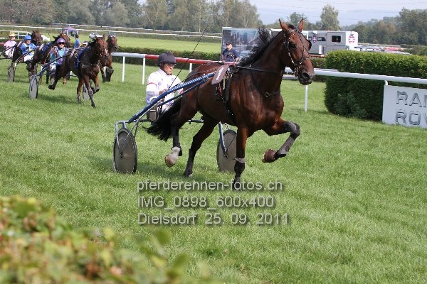 IMG 0898 600x400 prot