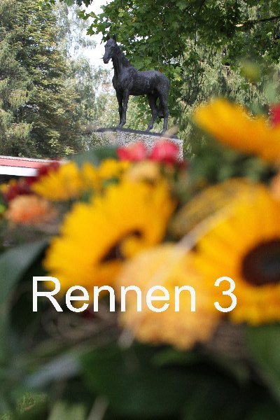 IMG 0916r3 600x400