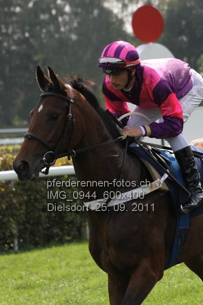 IMG 0944 600x400 prot