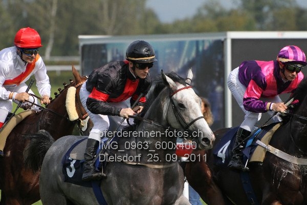 IMG 0963 600x400 prot