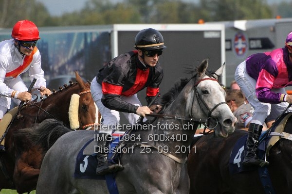 IMG 0964 600x400 prot