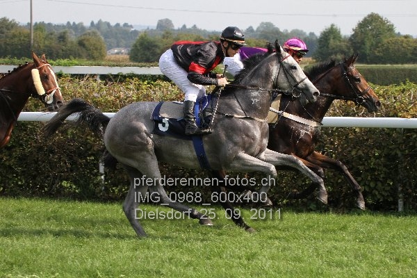 IMG 0968 600x400 prot