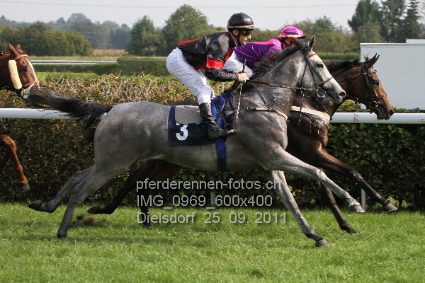 IMG 0969 600x400 prot